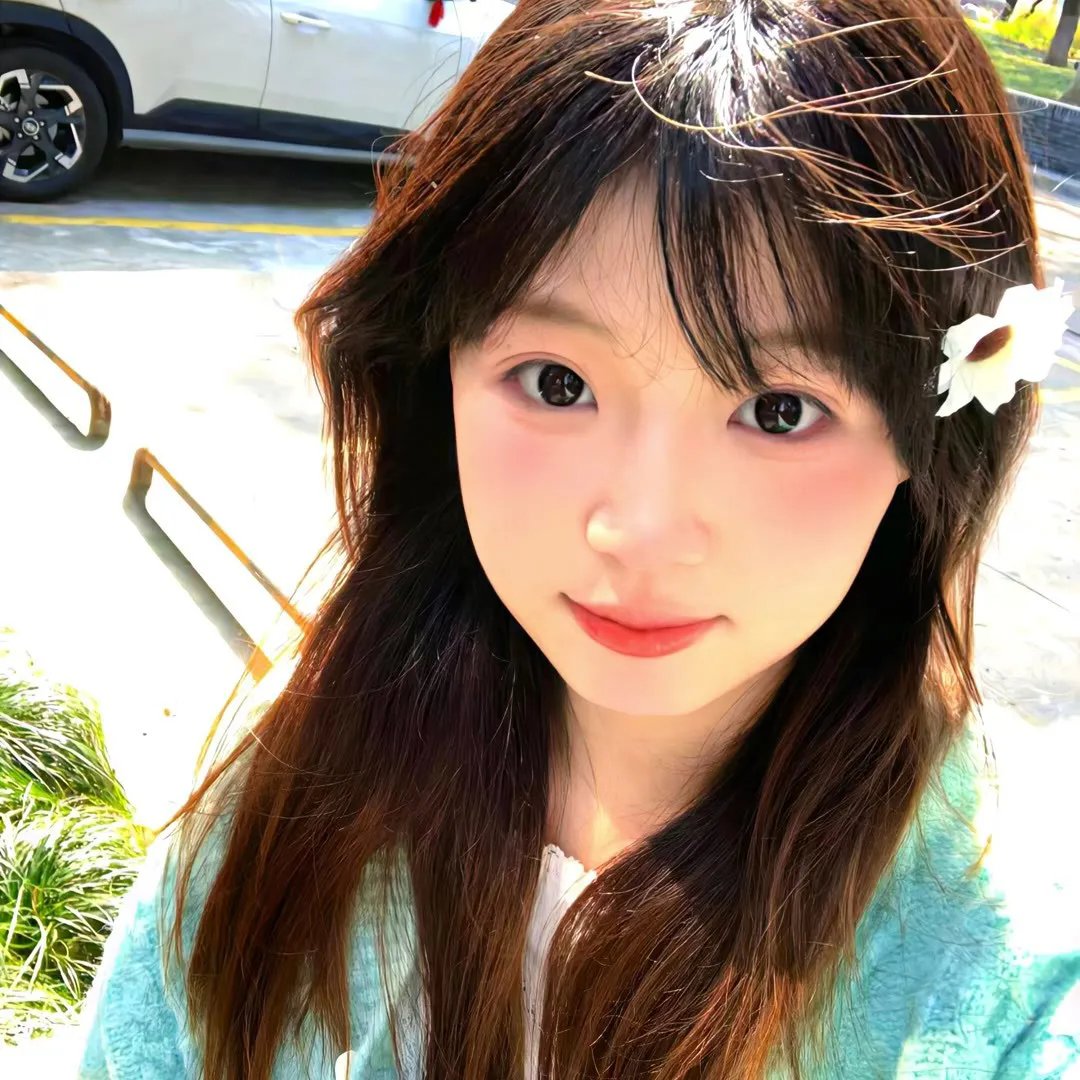 追影行动